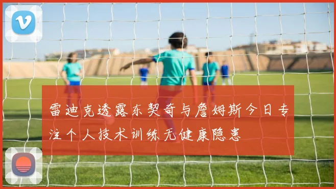 雷迪克透露东契奇与詹姆斯今日专注个人技术训练无健康隐患