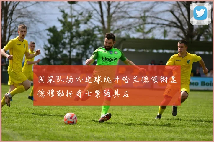 国家队场均进球统计哈兰德领衔盖德穆勒柯奇士紧随其后